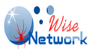 Wise Network Logo
